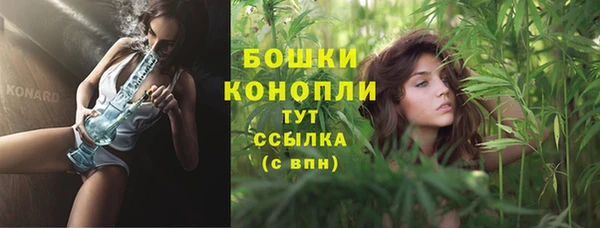 мдма Дмитриев