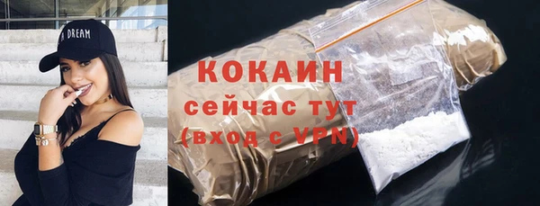 стафф Дмитров