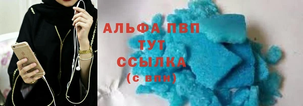 стафф Дмитров