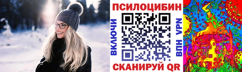 Галлюциногенные грибы Psilocybe закладка Спас-Деменск